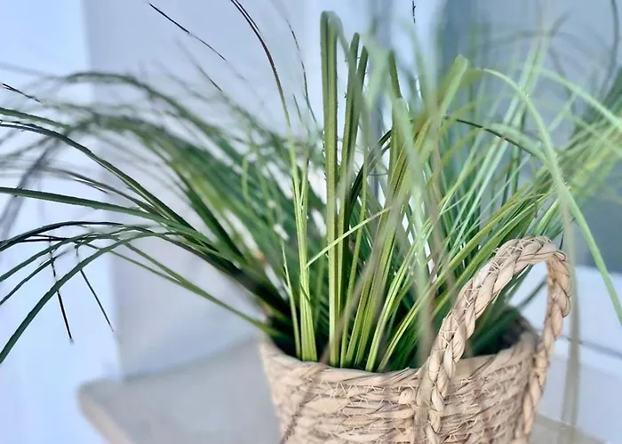 Maison24 Bed & Breakfast Martinsicuro